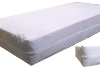 Disposable  Bed Bug Resistant