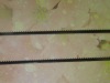 Doffer Wire