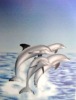 Dolphins printed polyester double sided brush velvet blanket