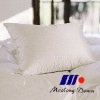 Down Pillow
