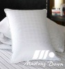 Down Pillow