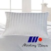 Down Pillow