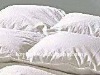 Duck  Down Duvet( Comforter, Quilts, )