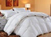 Duck Down Duvet / Duck Down Quilt/down comforter