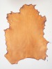 Dyed Goatskin Parchment