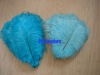 Dyed Male Ostrich Feather