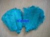 Dyed Male Ostrich Feather