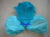 Dyed Ostrich Feather