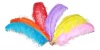 Dyed Raw Ostrich Feather