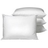 EPE Pillow