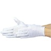 ESD powder free cleanroom gloves free samples