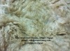 Egypt Scoured Raw Wool Cold Water Washed