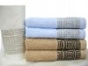 Elegant 100% Cotton Bath Towel(Y2010)