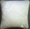 Elegant Chenille Cushion Cover