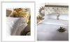 Elegant Hotel bedsheet