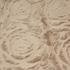 Embossed plush fabric