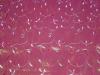 Embroidery 2-Tone taffeta fabric
