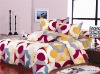 Embroidery Cotton Bedding Set/Sheet
