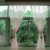 Embroidery Organza Curtain Fabric