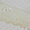 Embroidery voile Lace yh072
