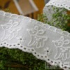 Embroidery voile Lace yh092