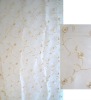 Embroidery  voile   curtain