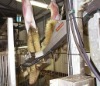 English Lamb Skins at Abattoir-2