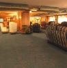Entertainment Area Tufted Carpet