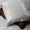 Euro style white cover silk pillow