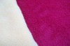 Export to Europe coral fleece fabric