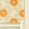 Exterior Roller Blind