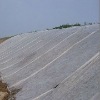 Extra Width 36M Nonwoven Agriculture Cover