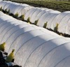 Extra Width Nonwoven application on agriculture
