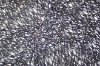 FDY knitting fabric