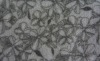 FLORAL-PATTERN PRINTED POLAR FLEECE FABRIC