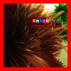 FREE SHIPPING FEDEX/DHL FACTORY OUTLETS 15-20CM QUALITY PRODUCTS grizzly feather