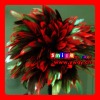 FREE SHIPPING FEDEX/DHL FACTORY OUTLETS 15-20CM QUALITY PRODUCTS rooster feathers