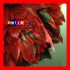 FREE SHIPPING FEDEX/DHL FACTORY OUTLETS 15-20CM QUALITY PRODUCTS rooster saddle feathers wholesale