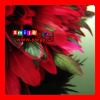 FREE SHIPPING FEDEX/DHL FACTORY OUTLETS 15-20CM QUALITY PRODUCTS wholesale grizzly rooster feather