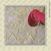 FRENCH LACE FABRIC FOR FASHIONS