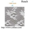 Fashion Coated Nylon Lace Fabric