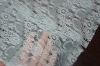 Fashion Sexy Lace Cloths For Women