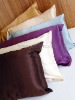 Fashion and Luxury Soft 100% Mulberry Silk Pillow