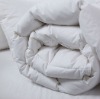 Fashion down comforter