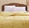 Fashion down comforter