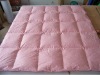 Fashion down quilt