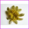 Fashion wholesale colored pearl feathers