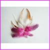 Fashion wholesale colored pearl feathers