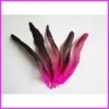 Fashion wholesale grizzly rooster feathers