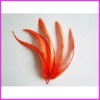 Fashion wholesale grizzly rooster feathers